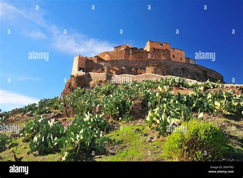 Indische Feigenopuntien Fotos Und Bildmaterial In Hoher Aufl Sung Alamy