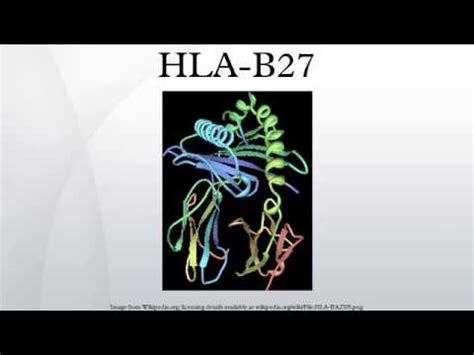 HLA-B27 - YouTube
