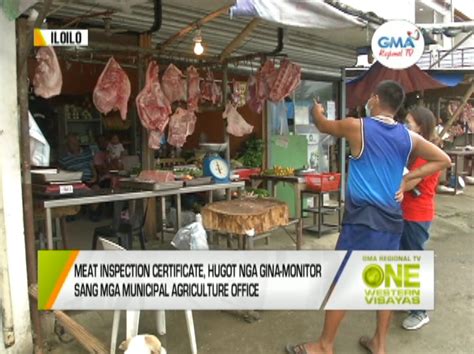 One Western Visayas Baligyaanay Sang Baboy Sa Probinsya Sang Iloilo