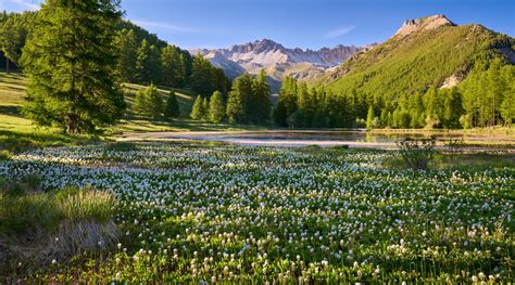 Randonn E Hautes Alpes Dans Le Parc Naturel R Gional Du Queyras