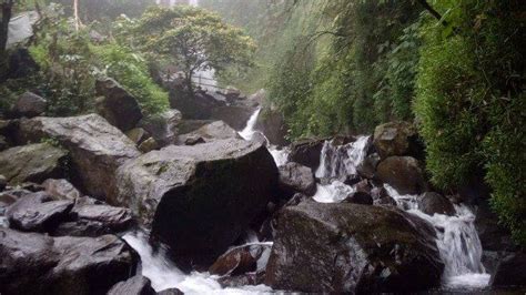 5 Aktivitas Seru Di Curug Ciherang Wisata Gunung Di Bogor Yang