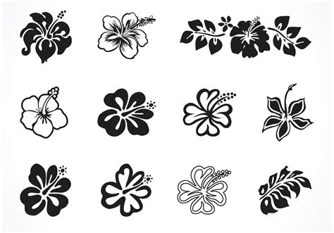 Vector Hibiscus Silhouettes Download Free Vector Art Stock Graphics