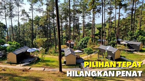 CABIN BAGUS MOJOKERTO SENSASI MENGINAP DI TENGAH HUTAN PINUS