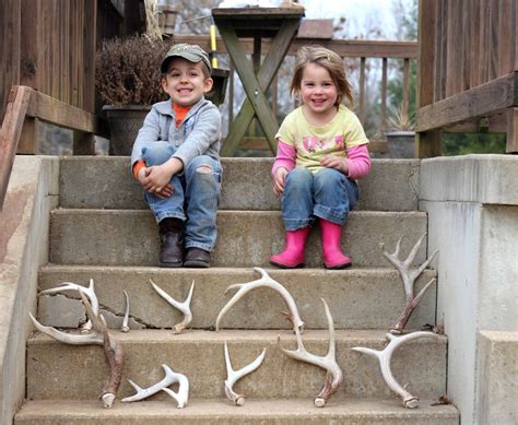 The Place to Go to Find Deer Antler Sheds | Hamilton Native Outpost