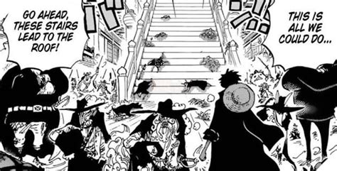 Dự đoán Spoiler One Piece Chap 1001 Zoro Rút Kiếm Chém Trọng Thương Kaido Nông Trại Vui Vẻ