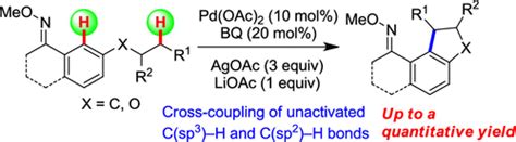 钯催化未活化 Csp3h 和 Csp2h 键的分子内交叉偶联organic Letters X Mol