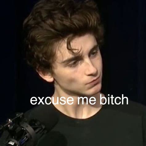 Timmy Memes Timothee Chalamet Timmy T Memes