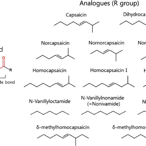 Chemical structure of capsaicinoid and its related analogs that differ ...