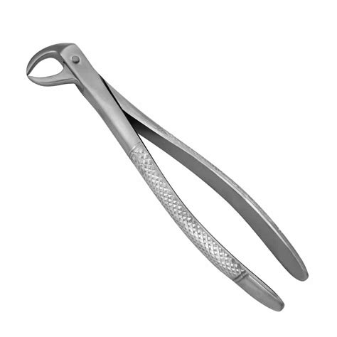 87 English Pattern Cowhorn Extraction Forceps Prodentusa