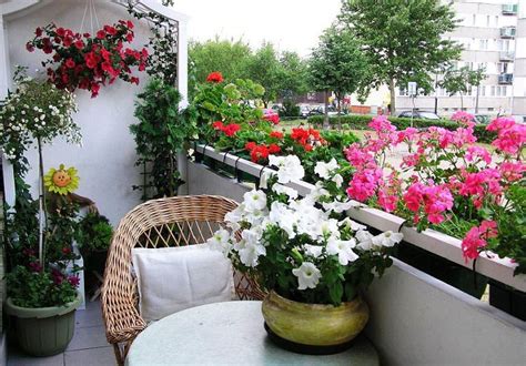 Best Flowers For Balcony Garden