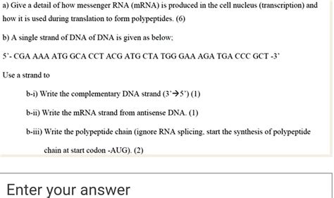 Solved A Give A Detail Of How Messenger Rna Mrna Is Produced In The