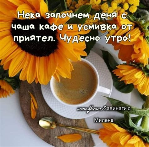 Pin di Завинаги с Милена su Добро утро. Добър ден.