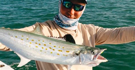 The Easy Way To Catch Spanish Mackerel Best Lures Spots Rigging