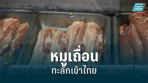 พบหมูเถื่อนทะลักเข้าไทย 1000 ตู้ต่อเดือน Pptvhd36