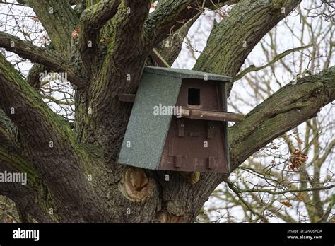 Nest Box For Owls And Birds Of Prey England United Kingdom Uk Stock