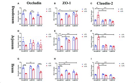 Determination Of Relative Changes In Gene Expression Of Tj Proteins