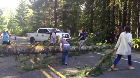 After Tree Falls And Hits Car On Us 26 Near Timber Fellow Drivers