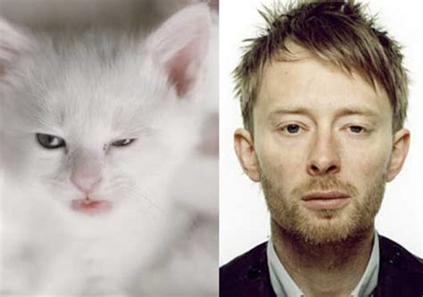 Celebrities And Their Cat Look Alikes Gallery