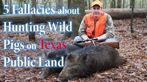 5 Misconceptions About Hunting Wild Pigs on Public Land in East Texas — Roots, Game, and Trail