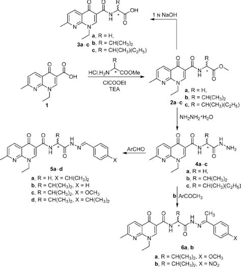 Scheme 1 Synthetic Routes For Compounds 2 6 Download Scientific Diagram