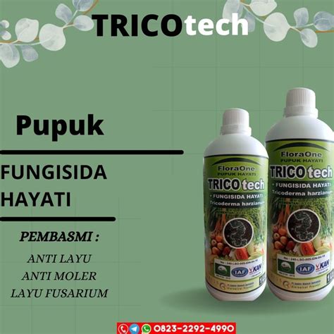 Fungisida Hayati TRICOtech Dalam Menangani Penyakit Tanaman Pangan Dan