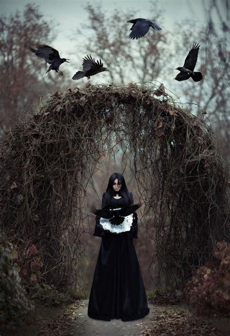 The Dark Witch In The Empty Forest By Maryna Khomenko The Enchanted