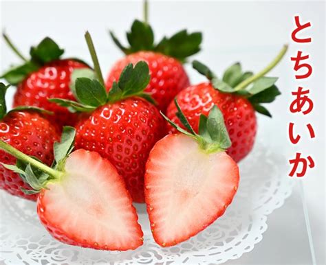 Jumbo Japanese Tochiaika Ichigo Strawberry 500g Pack — Momobud