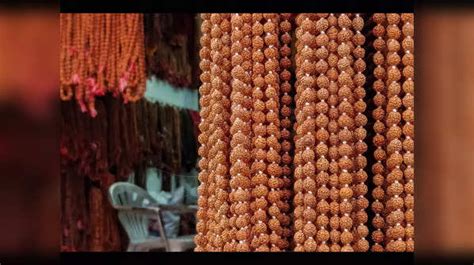 The Different Types Of Rudraksha And Their Benefits