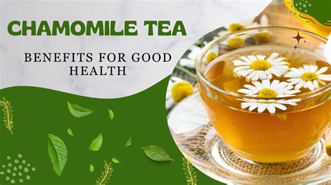 Health Benefits Of Chamomile Tea The Health Vibes