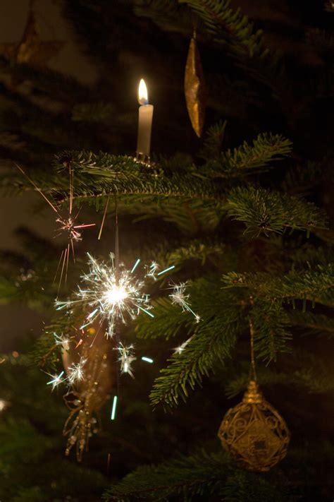 Free Images Branch Light Night Sunlight Flower Sparkler