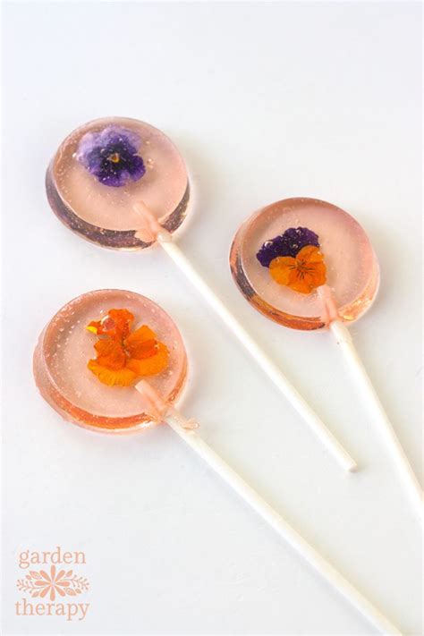 A Sweet Garden Party Treat: Edible Flower Lollipops - Garden Therapy