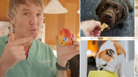 Fruits and veg you can't give your dog according to a vet | The US Sun