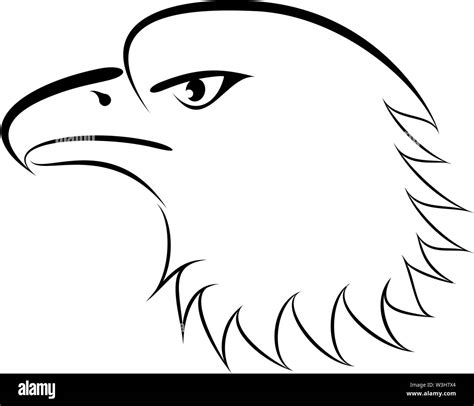 Linear drawing bald eagle genre minimalism Stock Vector Image & Art - Alamy