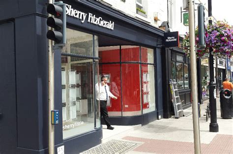 Sherry Fitzgerald Ami Consulting