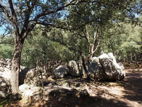 Free Images Tree Rock Wilderness Trail Trees Boulder Limestone