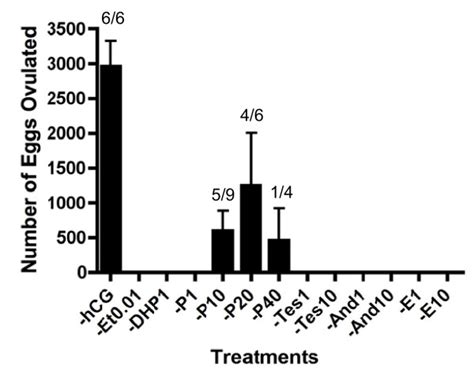 The Effect Of Various Steroid Hormones On The In Vivo Induction Of