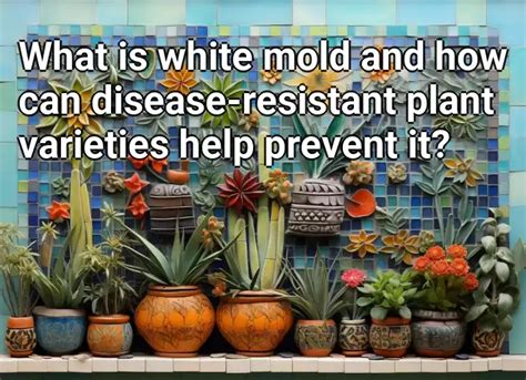 What Is White Mold And How Can Disease Resistant Plant Varieties Help Prevent It Gardening