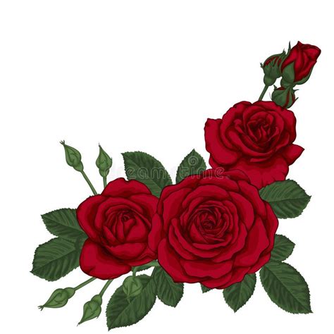 Ramo Hermoso Con Tres Rosas Rojas Y Hojas Arreglo Floral Ilustraci N