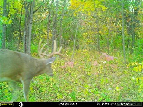 Online Land Auction Marion County Il Acres Hunting Wooded Open