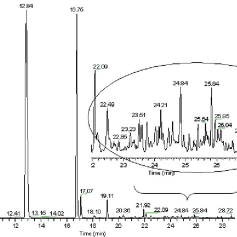 Hs Gc Ms Chromatogram Of Eluate B Download Scientific Diagram