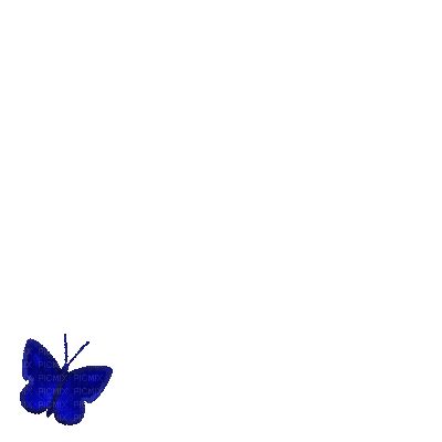 blue butterfly gif, blue , butterfly , gif - Free animated GIF - PicMix