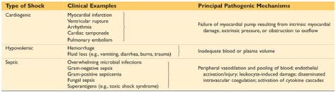 Shock Flashcards Quizlet