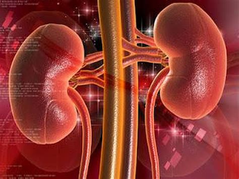 Diabetes E Insuficiencia Renal Sammsati