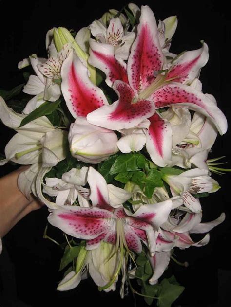 Teardrop Bridal Bouquet With Stargazer And White Asiatic Lilies Lily