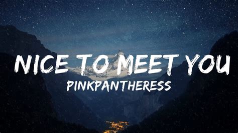 30 Mins Pinkpantheress Nice To Meet You Feat Central Cee Lyrics