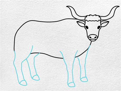 How To Draw Cattle Helloartsy