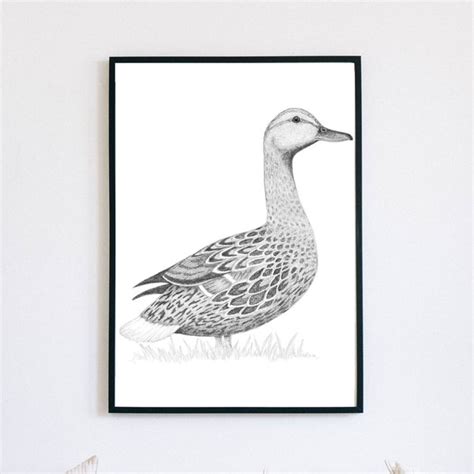 Duck Pencil Drawing Etsy