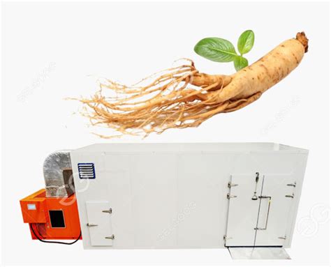 Fresh Ginseng Medicinal Drying Machine For Herbs Dehydration