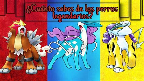 Cu Nto Sabes De Los Perros Legendarios Pok Mon En Espa Ol Amino