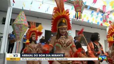 Bom Dia Mirante Boi Brilho Da Juventude A Atra O Do Arraial Do Bom